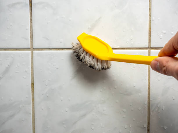 Best Attic Mold Removal  in Labasas, CA